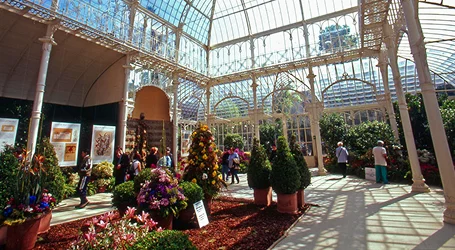 why-chauffeur-is-smart-choice-for-visiting-flower-shows